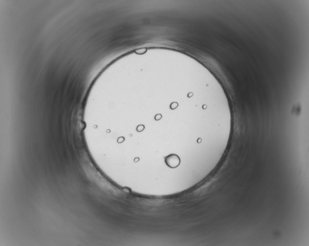 X0000111491292200908251017
