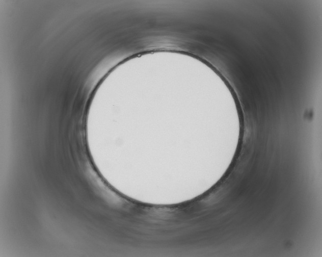 X0000111491293200908251017