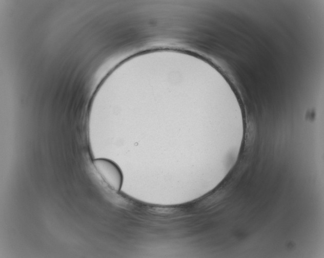 X0000111491295200908251017