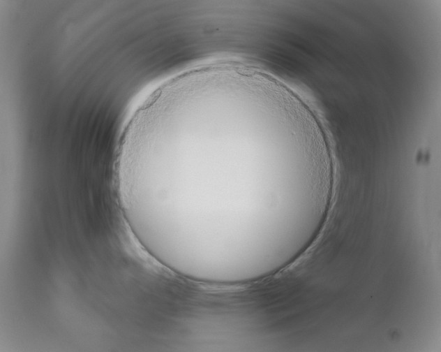 X0000111491296200908251017