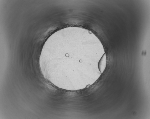 X0000111491297200908251016