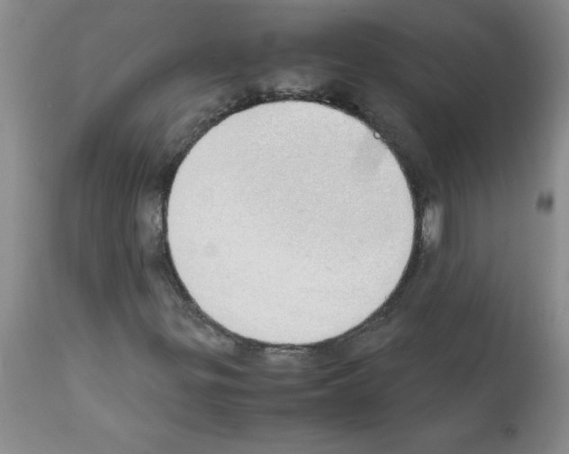 X0000111491299200908251016