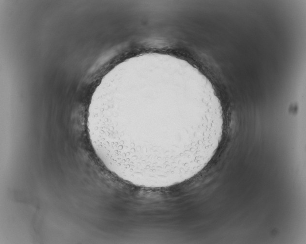 X0000111491301200908251016