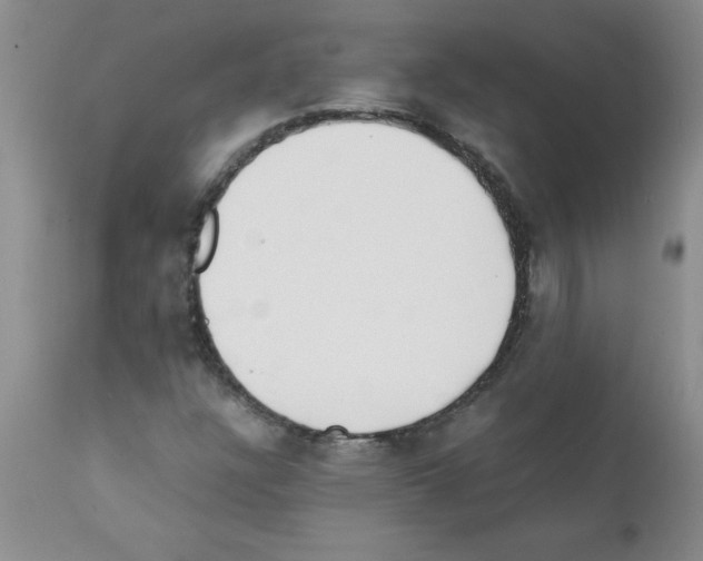 X0000111491304200908251016