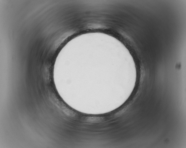 X0000111491305200908251016