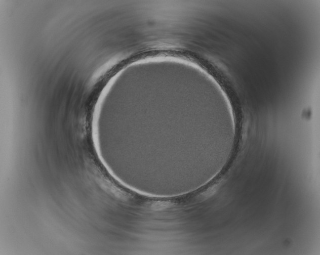 X0000111491306200908251016