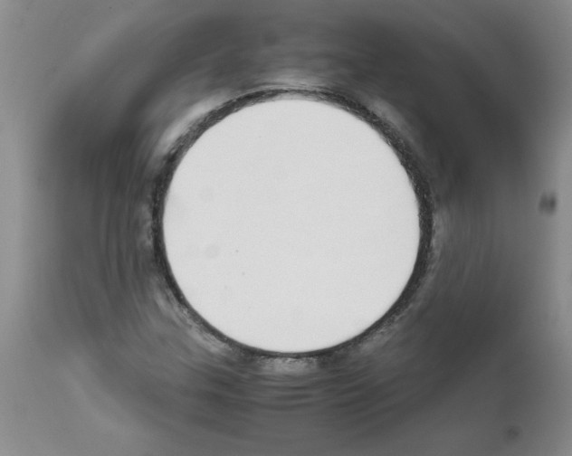 X0000111491307200908251016