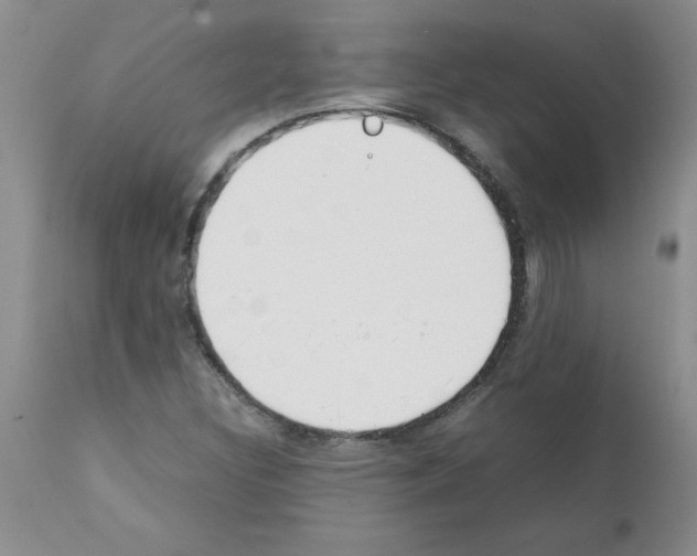 X0000111491308200908251016