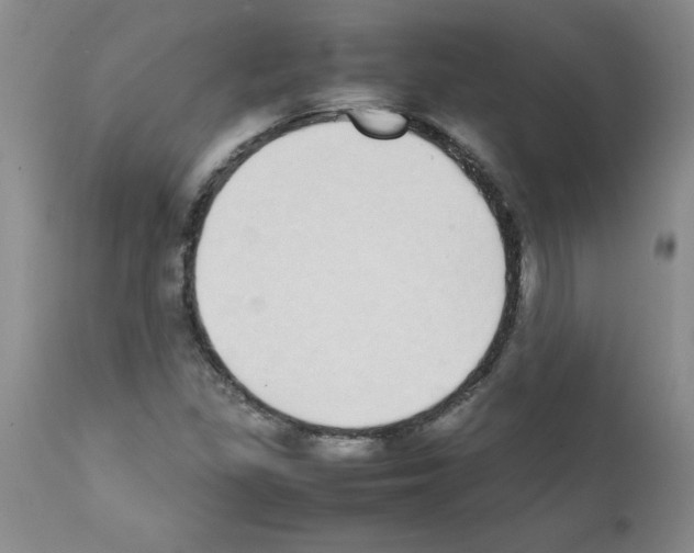 X0000111491309200908251016