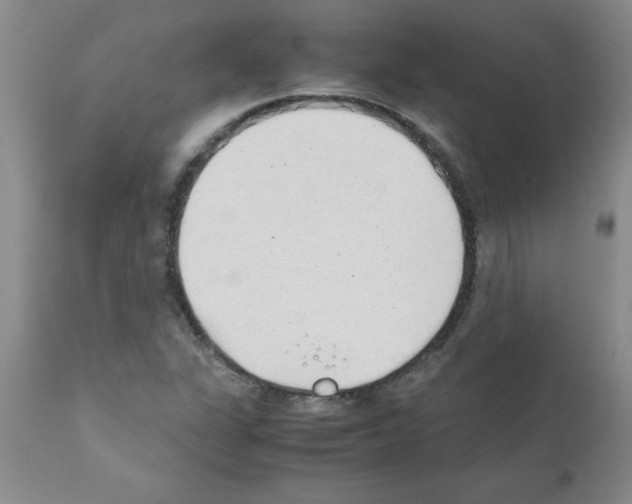 X0000111491311200908251016
