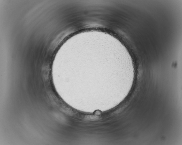 X0000111491313200908251016
