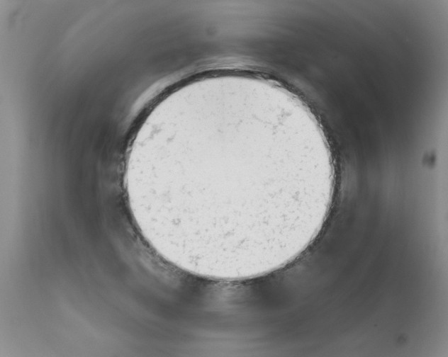 X0000111491314200908251016