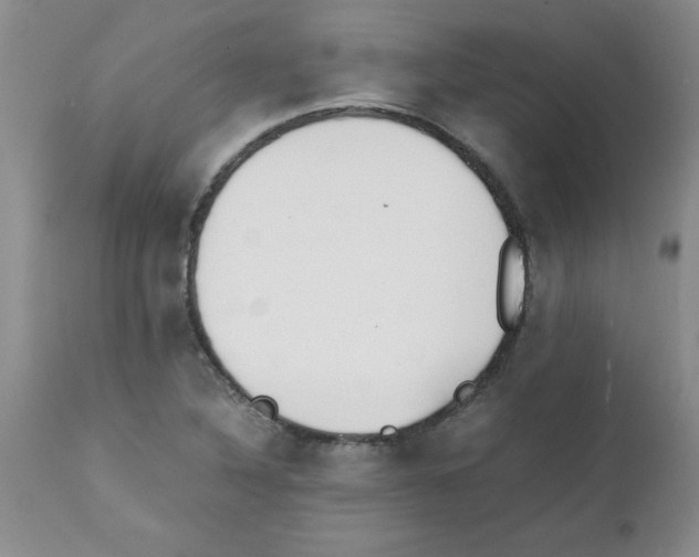 X0000111491316200908251016