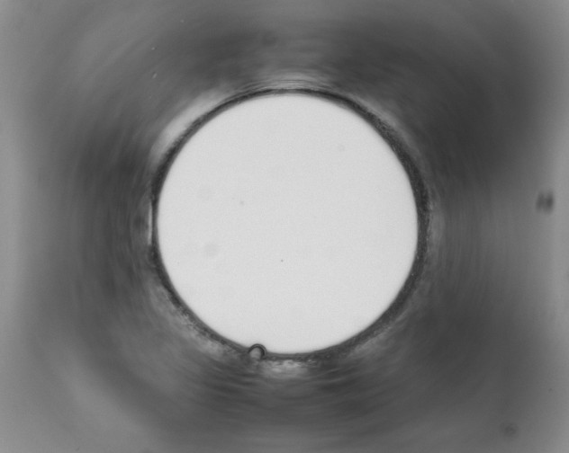 X0000111491317200908251016