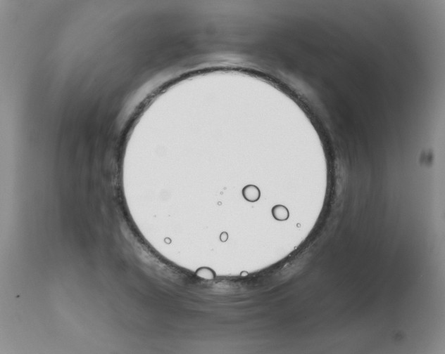 X0000111491318200908251016
