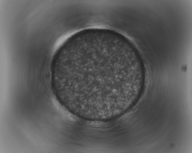 X0000111491319200908251016