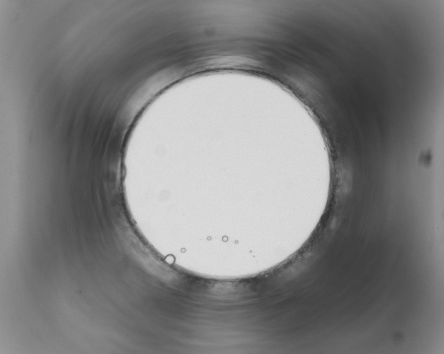 X0000111491322200908251016