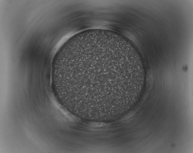 X0000111491323200908251016