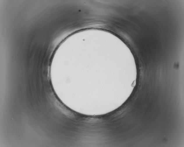 X0000111491324200908251016