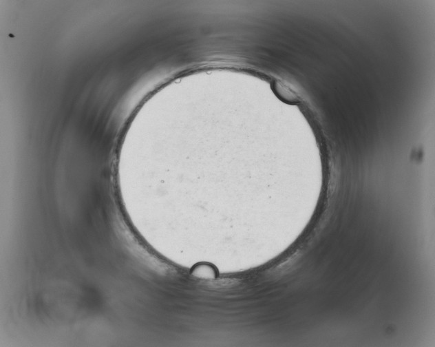 X0000111491325200908251016