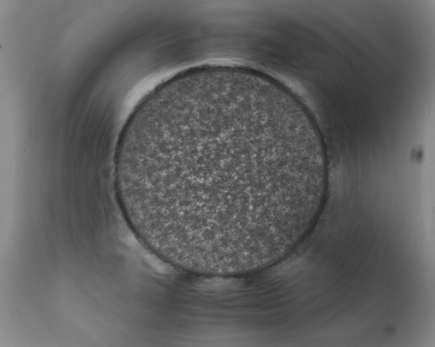 X0000111491327200908251016