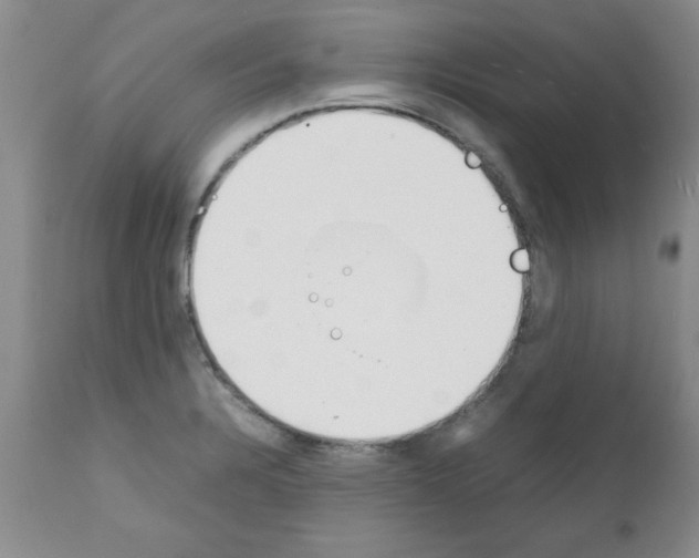 X0000111491328200908251016