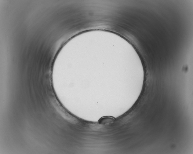 X0000111491332200908251016
