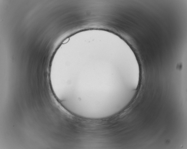 X0000111491334200908251016