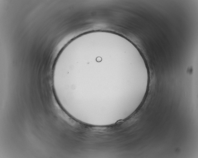 X0000111491342200908251017