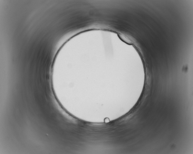 X0000111491343200908251017
