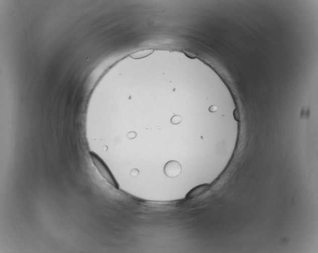 X0000111491344200908251017