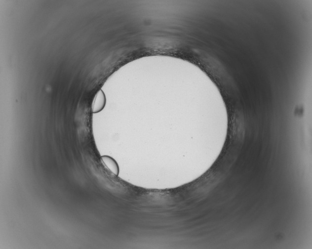 X0000111491346200908251016