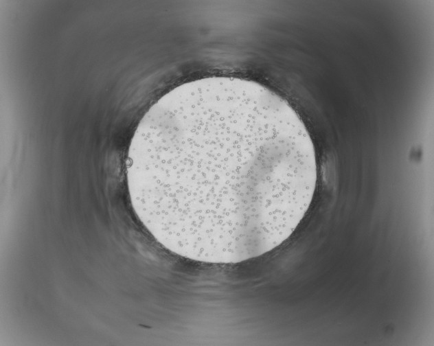 X0000111491347200908251016