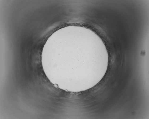 X0000111491350200908251016
