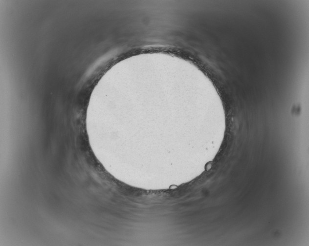 X0000111491351200908251016