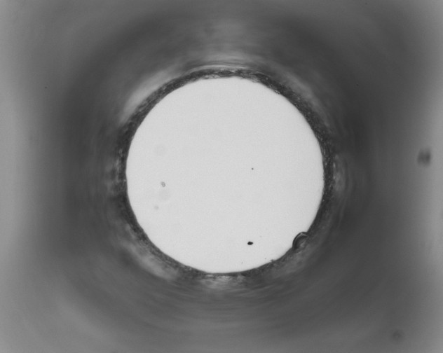 X0000111491352200908251016