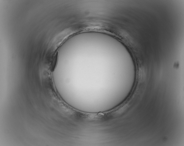 X0000111491353200908251016