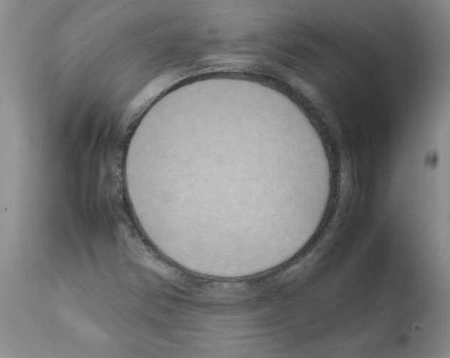 X0000111491354200908251016