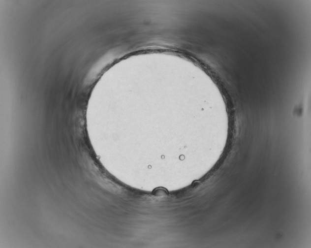 X0000111491355200908251016