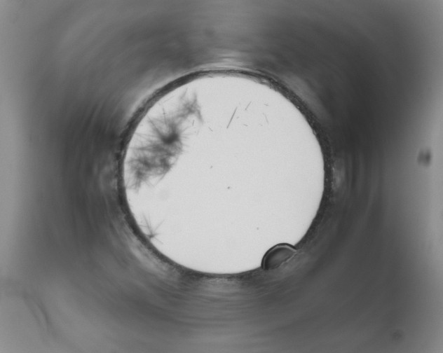 X0000111491356200908251016