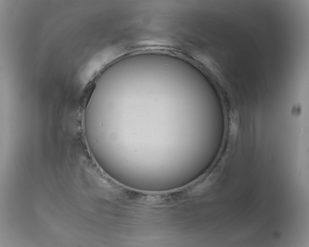 X0000111491357200908251016