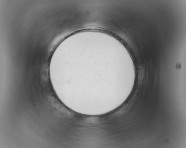 X0000111491358200908251016