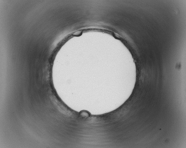 X0000111491360200908251016