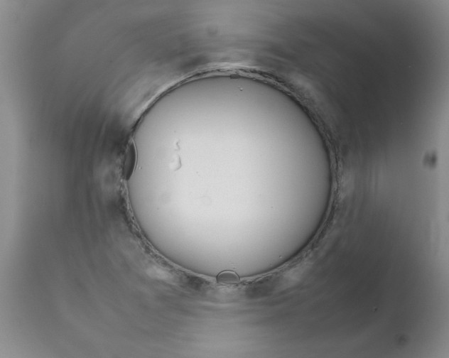 X0000111491361200908251016
