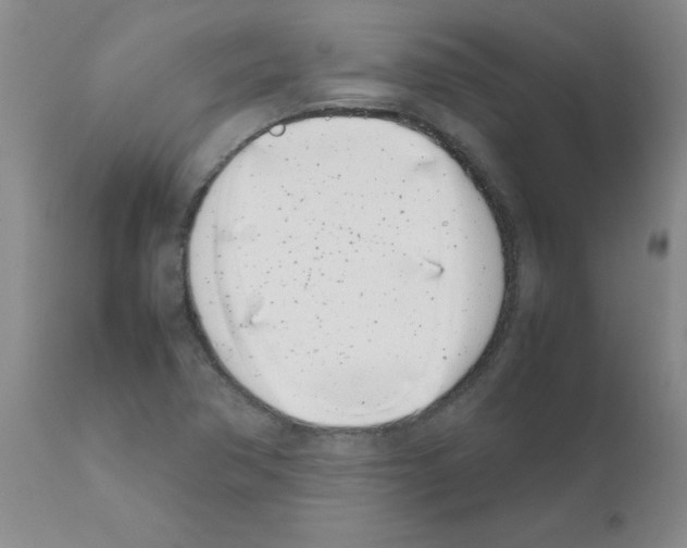 X0000111491362200908251016