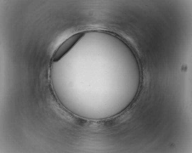 X0000111491365200908251015