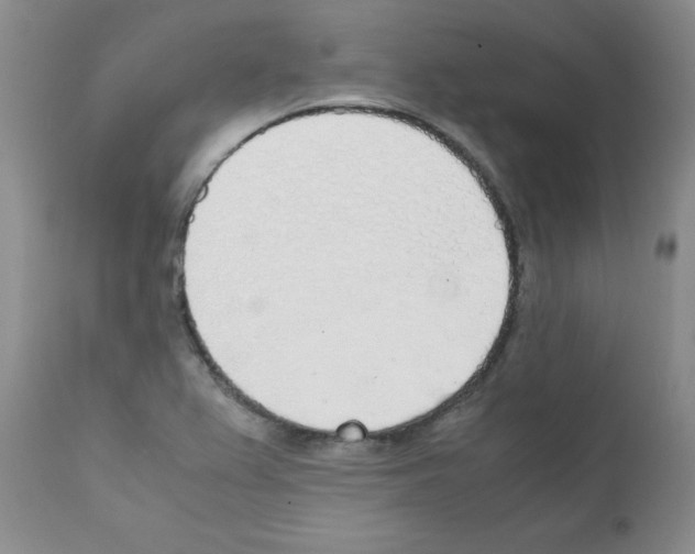 X0000111491367200908251015