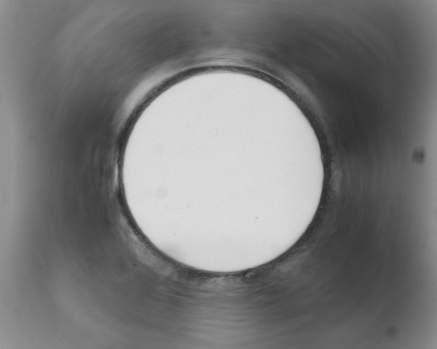 X0000111491368200908251015