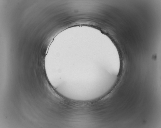 X0000111491369200908251015