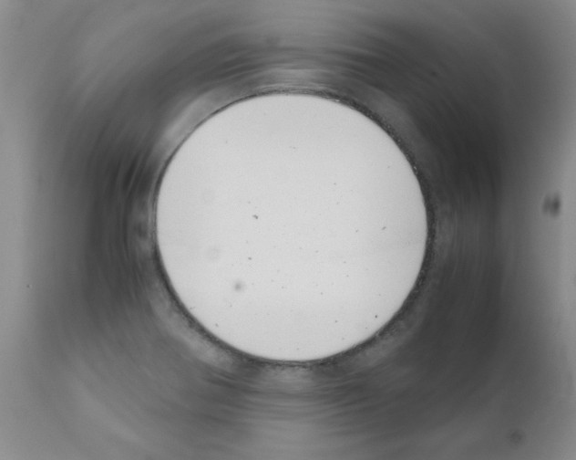 X0000111491370200908251015